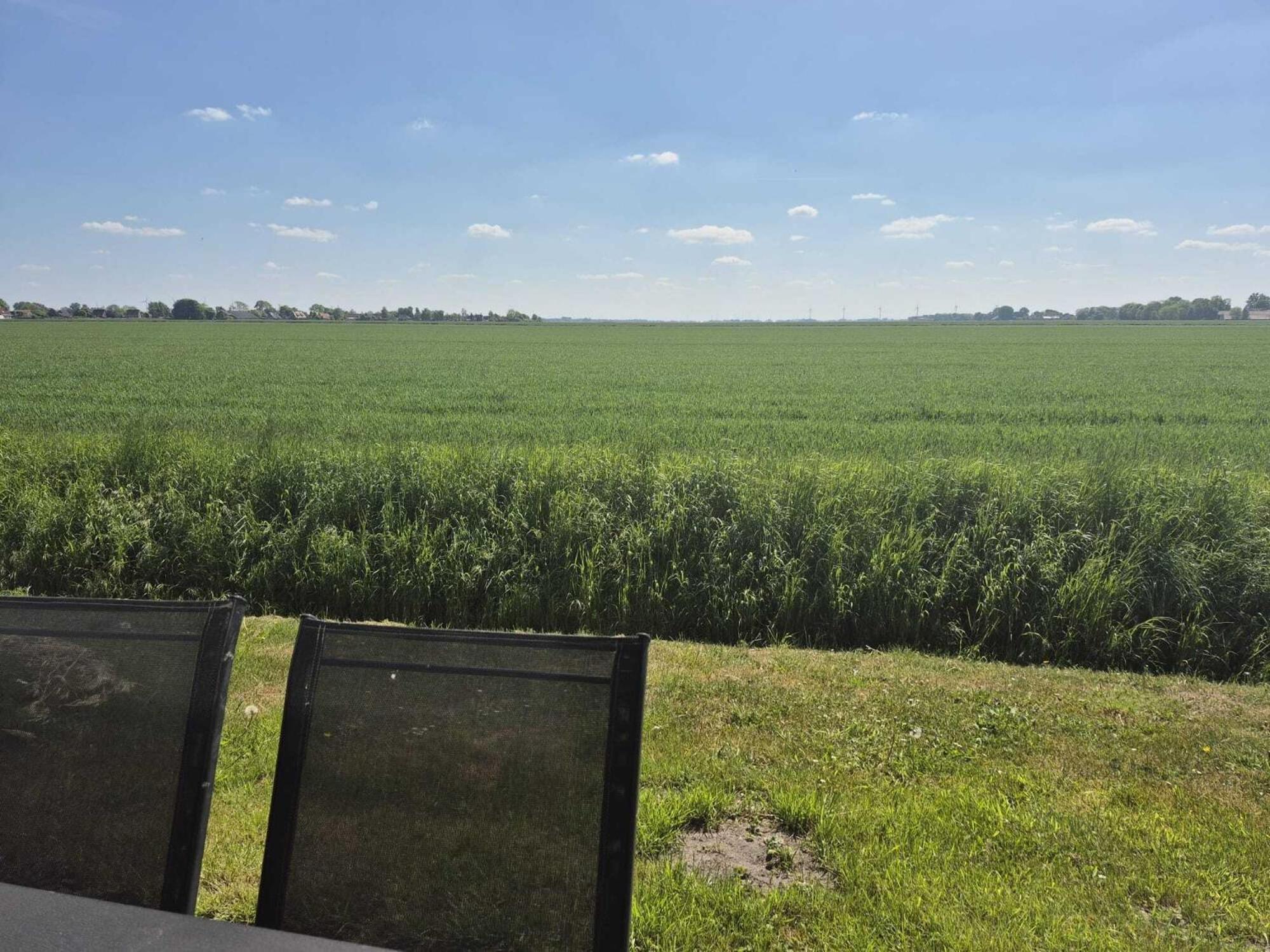 Ferienhaeuser Freiblick Ditzumerverlaat Bagian luar foto